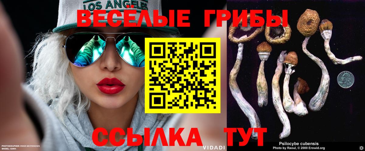 Галлюциногенные грибы прущие грибы  наркошоп  Анжеро-Судженск  Вход с VPN 