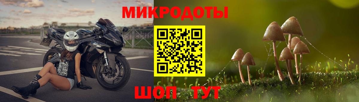 Псилоцибиновые грибы Cubensis Анжеро-Судженск